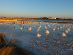 20260805, las salines