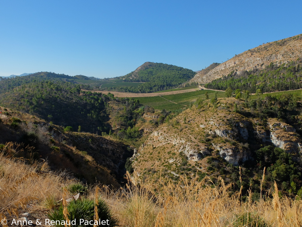 Le paysage aux alentours de Segeste